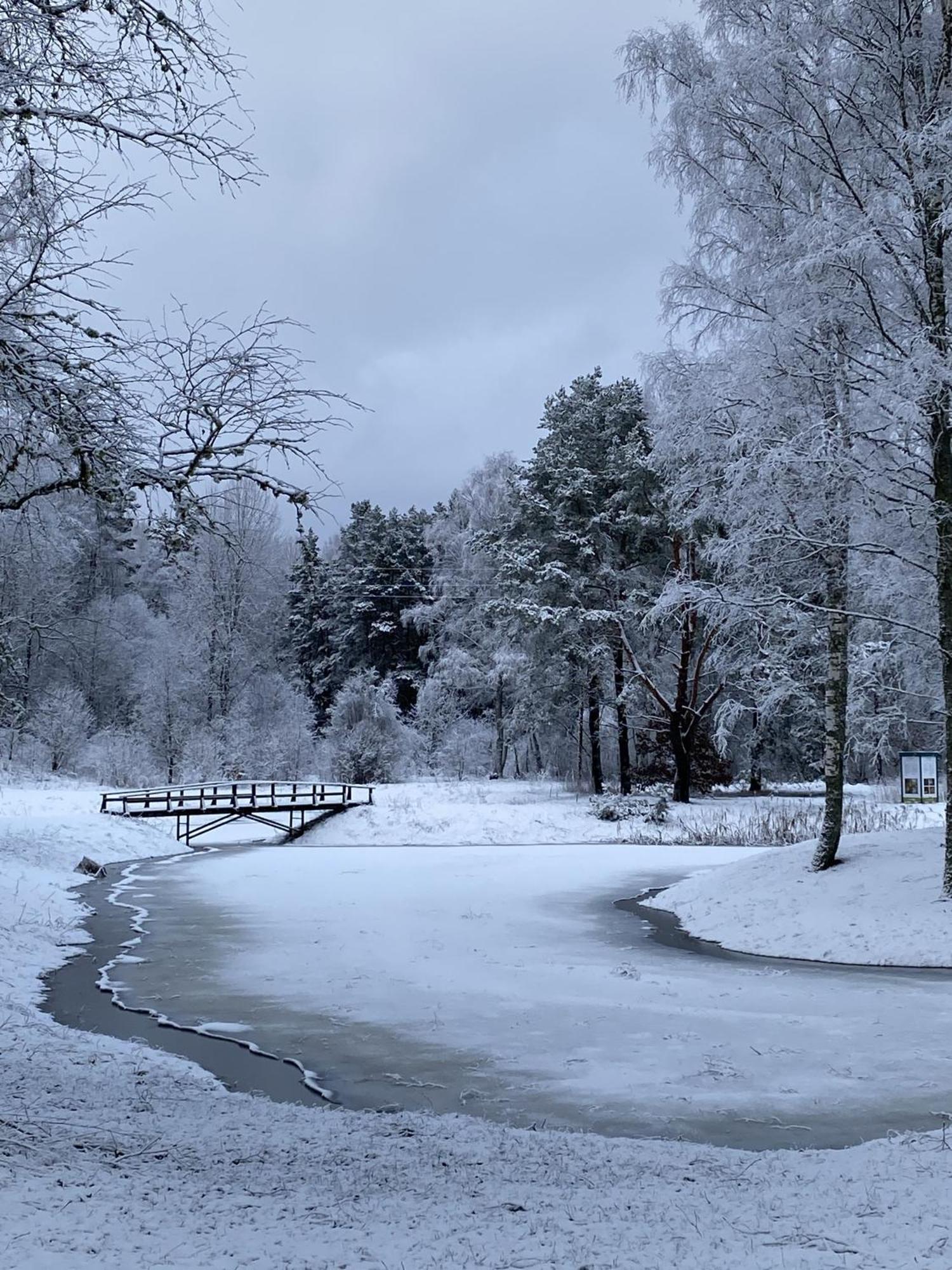 Brivdienu Maja Vejini Straupe Exteriér fotografie