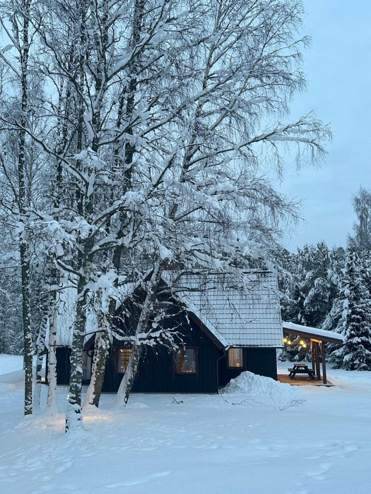 Brivdienu Maja Vejini Straupe Exteriér fotografie
